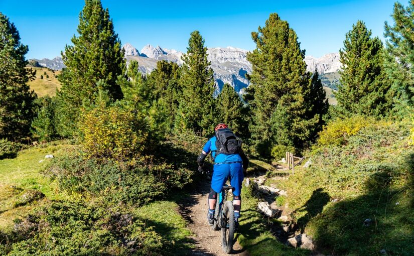 mountainbikespor på Sjælland