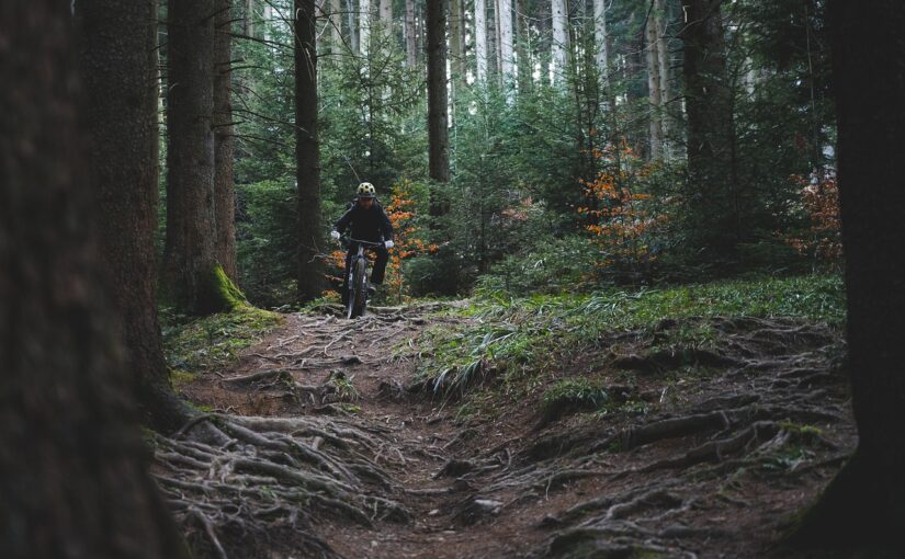 mountainbikespor på Lolland