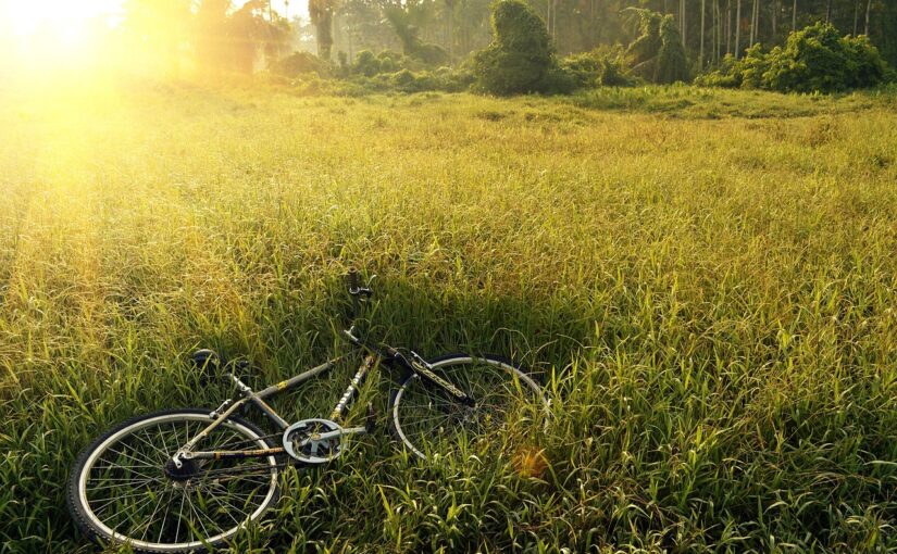 De 5 bedste mountainbike-steder i Aarhus