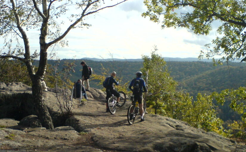 Guide: Mountainbike-sporvalg og teknikker